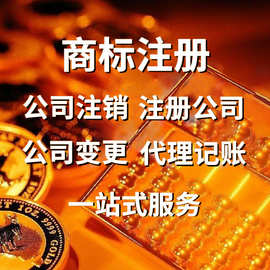 代理记账与代办服务的全面解析